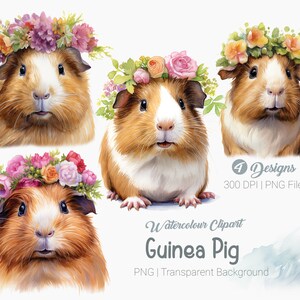 Watercolor Guinea pig png, Cute Floral Guinea pig, Guinea pig png, Printable graphics Sublimation, transparent background Wall Art Print
