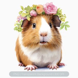 Watercolor Guinea Pig Clipart, Cute Floral Guinea pig, Guinea pig png, Printable graphics Sublimation, transparent png, Animal Art Print