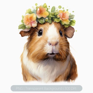 Watercolor Guinea Pig Clipart, Cute Floral Guinea pig, Guinea pig png, Printable graphics Sublimation, transparent png, Animal Art Print