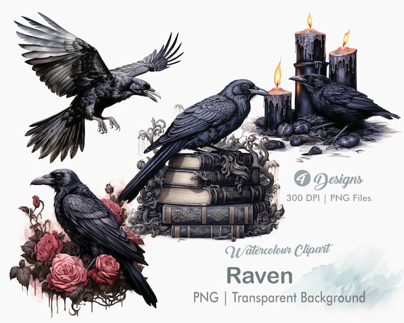 Raven Clipart, Gothic Raven PNG, Dark Fantasy, Witch Clipart, Junk Journals, Scrapbooking, Sublimation Graphics, Transparent png, Art Prints