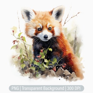 Clipart panda roux, bébé panda PNG, ours de la forêt, fabrication de cartes, journaux indésirables, scrapbooking, sublimation graphique, png transparent, tirages d'art