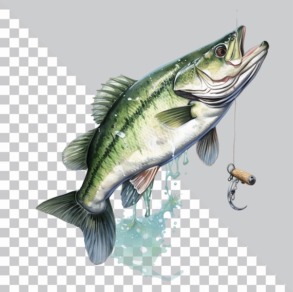 Bass Fish Watercolour Clipart, Fishing Clipart, Jumping Bass fish png, Fish  png, Sublimation print, transparent background