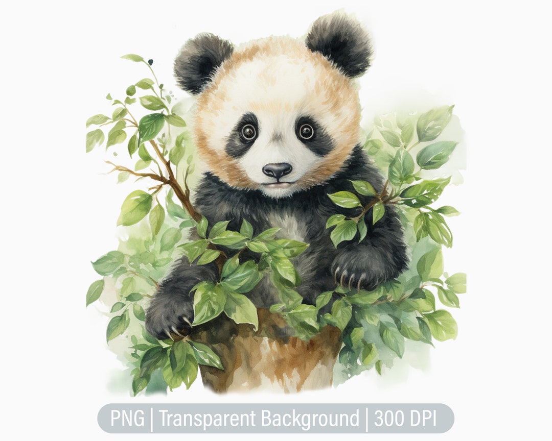 Panda Clipart, Panda Bear PNG, Giant Bear, Forest Bear Clipart, Junk ...
