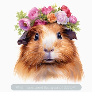 Watercolor Guinea Pig Clipart, Cute Floral Guinea pig, Guinea pig png, Printable graphics Sublimation, transparent png, Animal Art Print