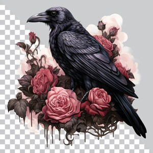 May include: A black raven perched on a bouquet of pink roses with dark green leaves. The raven has a dark gray beak and black feathers. The roses are in full bloom and have a soft, velvety texture.