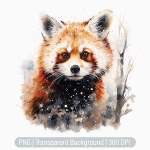 Clipart panda roux, panda PNG, ours de la forêt, fabrication de cartes, carnets indésirables, scrapbooking, sublimation graphique, png transparent, tirages d'art