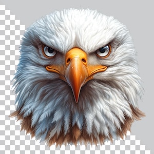Eagle Clipart, Eagle Head PNG, Bald Eagle, Junk Journals, Scrapbooking, Printable Sublimation Graphics, Commercial Use