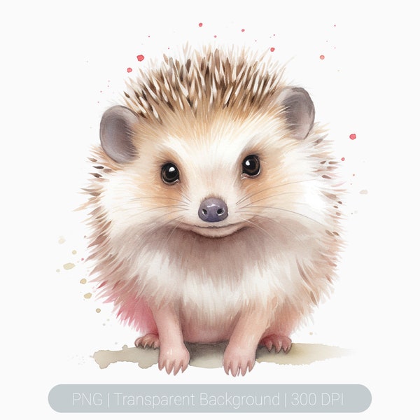 Watercolor Hedgehog Clipart, Cute Hedgehog png, Hedgehog clipart, Printable graphics Sublimation, transparent PNG, Animal Art Print