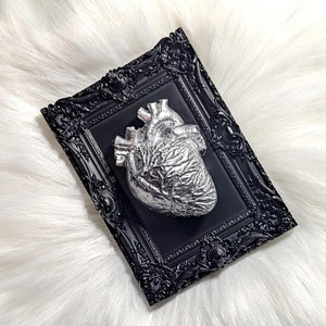 4.5&quot; Framed Victorian Gothic Anatomical Heart Plaque • Realistic 3D Human Heart Wall Hanging • Macabre/Horror/Goth Décor • Dark Aesthetic