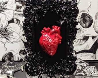 Gothic Red Anatomical Heart in Ornate Black Baroque 7" Frame • Handcrafted Dark Aesthetic Wall Art • Macabre Oddities • Dark Romantic Gift