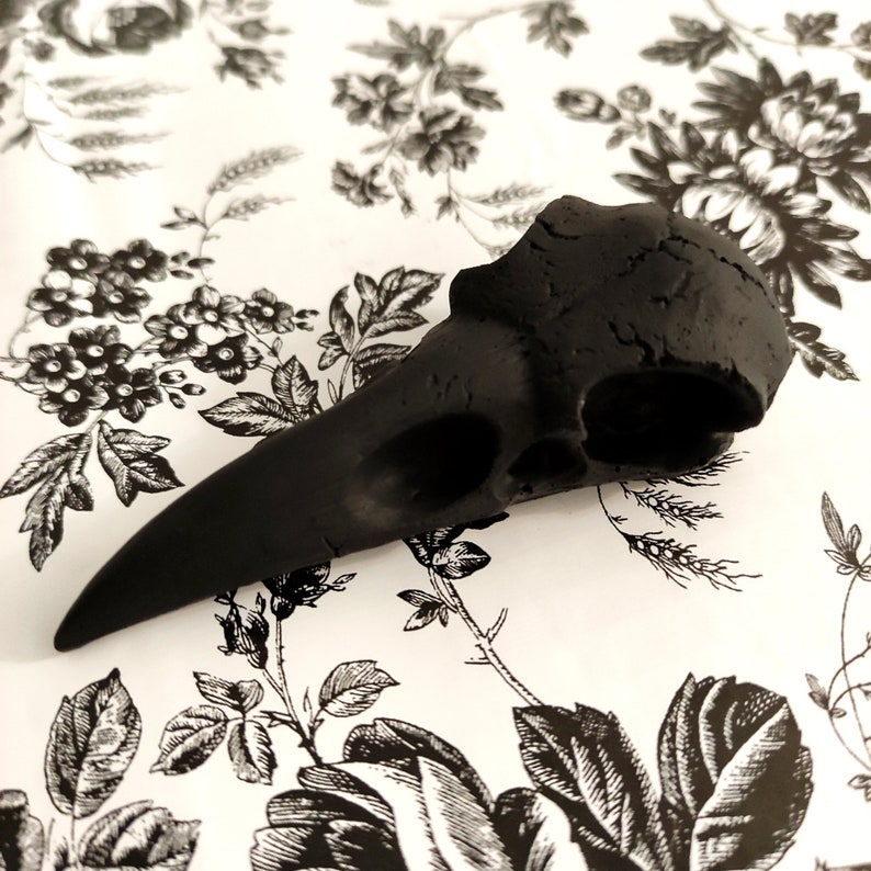 Polyresin Black Bird on Skull