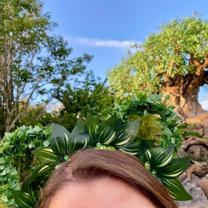 Rainforest ears, Animal Kingdom inspired