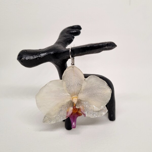 Real orchid earrings , Natural orchid flowers earrings . Resin flowers .