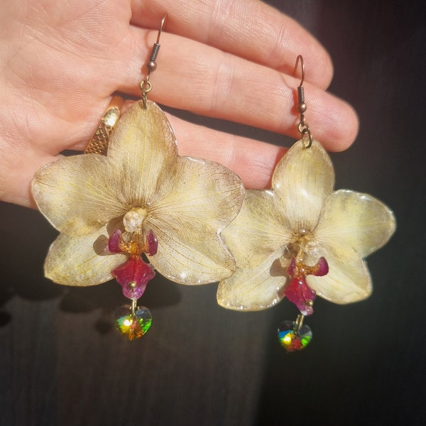 Boucles d'oreilles orchidées véritables, boucles d'oreilles orchidées naturelles. Fleur d'orchidée jaune. Orchidée blanche avec flocons d'argent Épingle à cheveux orchidée blanche.