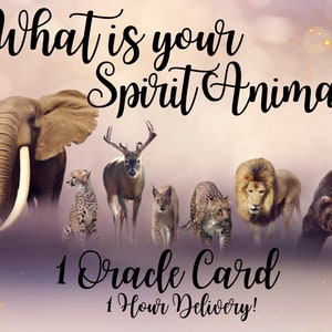 Lectura del Oráculo del Animal Espiritual: ¿Cuál es mi Animal Espiritual? ¡Descubrámoslo! Mensaje canalizado, 1 carta, autoexplicativo, entrega en 1 hora.
