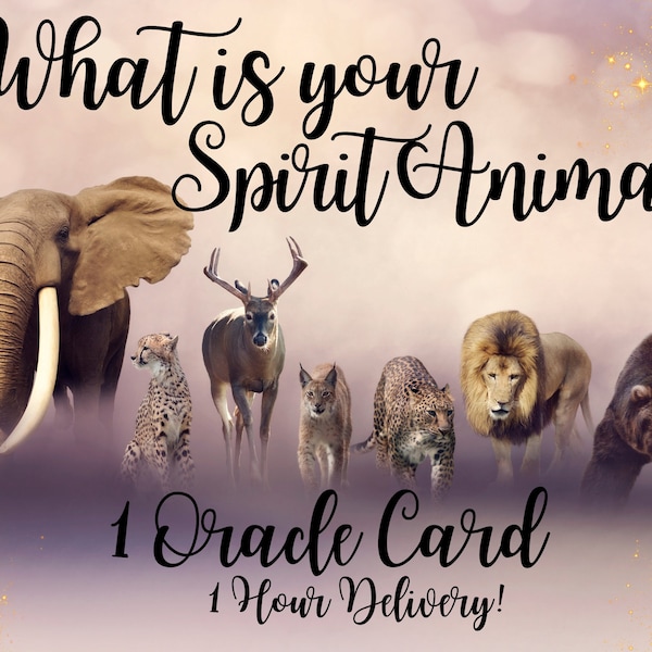 Spirit Animal Oracle Reading, What Is My Spirit Animal? lets find out!,  Channeled Message, 1 Card, Self-Explanatory,  1 hour Delivery,
