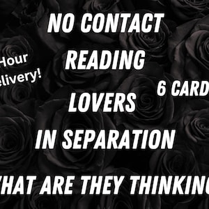 No Contact Reading- Lovers in Separation- Words Unspoken - Hidden Thoughts- Why the Silence? - 1 Hour Delivery- Messages from DM/DF