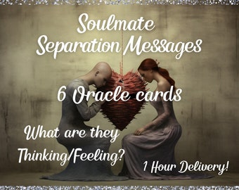 Soulmates in Separation - Hidden Thoughts & Feelings - What are They Thinking? - 6 Card Oracle Reading- 1 Hour Delivery- Messages from DM/DF