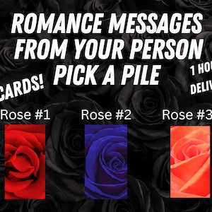 Lectures ramassées - Messages romantiques de votre personne - Choisissez une rose - Sentiments et pensées vrais - 6 messages - Que veulent-ils vous dire ?