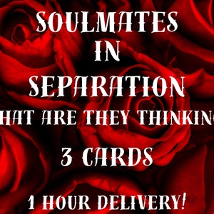 Soulmates in Separation - Unausgesprochene Worte - Verborgene Gedanken - Soulmate -Twinflame- 1 Stunde Lieferzeit - 3 Karten Orakel lesend -selbsterklärend