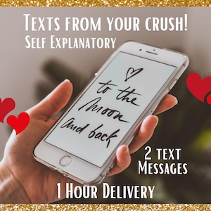 Texts From Your Crush Oracle Reading, What Does Your Crush Want to Say, 2 Oracle Messages, Feelings & Thoughts, 1 Hour Delivery, Same Day