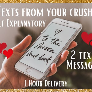 Teksten van je crush, wat wil je crush zeggen? 2 sms-berichten (thema), orakellezen, gevoelens en gedachten, 1 uur bezorging,