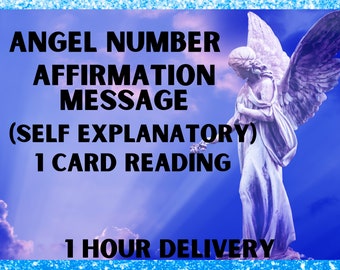 Angel Number Affirmation Message, Angel Numbers, Positive Affirmation,Numerology, 1 Card Oracle Reading, Self Explanatory, 1 Hour Delivery