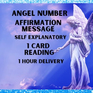 Angel Number Oracle Reading, Affirmation Message, 1 Card Reading, 1 Hour Delivery, Same Day, Numerology,