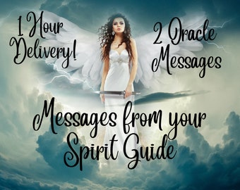 Messages from your Spirit Guide, 2 Oracle Card Reading, Self Explanatory Messages, 1 Hour Delivery, Channeled Messages, Oracle Reading,