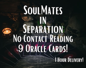 Soulmates in Separation- What are they thinking? Reconciliation? -Hidden feelings - 9 Card Oracle Reading -Self Explanatory- 1 Hour Delivery