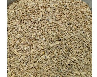 Cumin Caraway 100 Grams Original Indonesian Premium