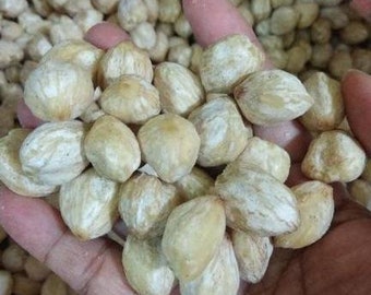 Candlenuts Indian walnut Candleberry Premium 100 Grams Indonesian Original