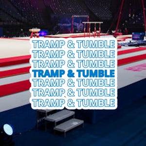 Tramp and tumble sticker, T&T sticker, trampoline and tumbling sticker, double mini sticker, gymnastics sticker, tumbling sticker