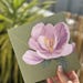 see more listings in the MOTHER'S DAY section