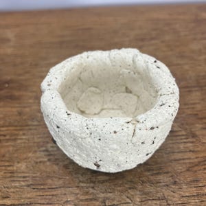 Handmade Stoneware Cactus Planter, River Dart Sand, Rustic Style