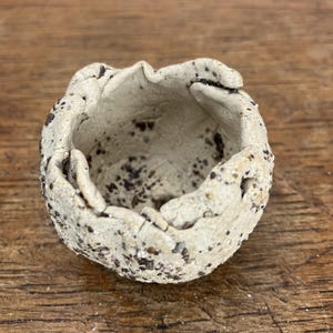 Handmade Stoneware Cactus Planter with River Dart Sand