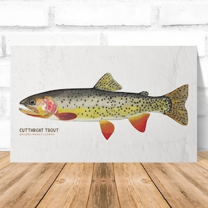 Tarjeta de trucha degollada, impresión de pescado, tarjeta de pescado, impresión de arte de trucha de Yellowstone, impresión de arte de trucha de cumpleaños, tarjeta de arte de trucha con tarjeta interior en blanco
