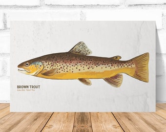 Tarjeta de trucha marrón, impresión de pescado, tarjeta de arte de trucha, tarjeta de impresión de arte de pescado, impresión de arte de trucha marrón, tarjeta de arte de pescado de trucha marrón con tarjeta interior en blanco