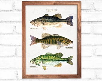 Bass Species Art Printt • Largemouth, Smallmouth & Spotted Bass • Country Fish Wall Decor • Digital Download