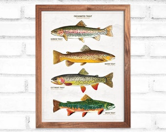 Trout Species Poster Print • Rainbow, Brown, Cutthroat & Brook Trout • Fishing Wall Art • Digital Download