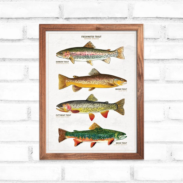 Affiche de truite, impression de poisson, téléchargement d'impression de truite, décoration d'art de truite, affiche d'impression de poisson, cadeau d'anniversaire de pêcheur pour le thème de poisson, art de pêche