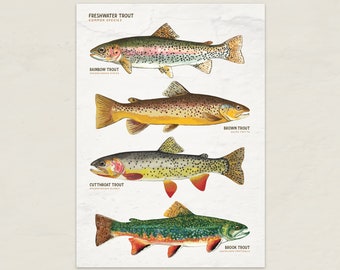 Freshwater Trout Species Art Print Card 5x7: Rainbow, Brown, Cutthroat, Brook Trout • Digital Download