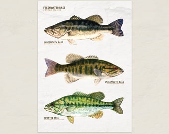 Bass Species Card 5×7 Printable • Largemouth, Smallmouth & Spotted Bass Art • Digital Download