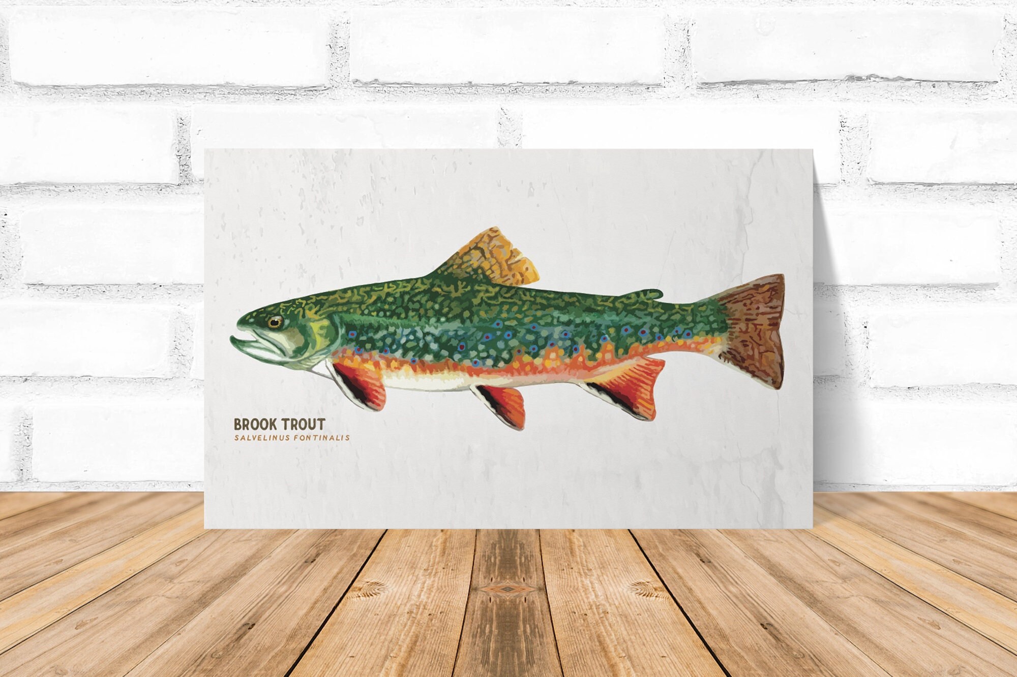 Brook Trout Art Card: Vector Fish Print (Digital Download)