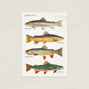 Stampa digitale scaricabile Biglietto di trota, Stampa di pesce, Bellissima arte di trota, stampa di trota, biglietto di compleanno di trota, la carta artistica di pesce è vuota all'interno della carta