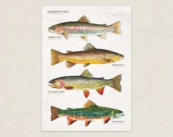 Trout Species Art Print: Freshwater Fish Card (Digital Download)