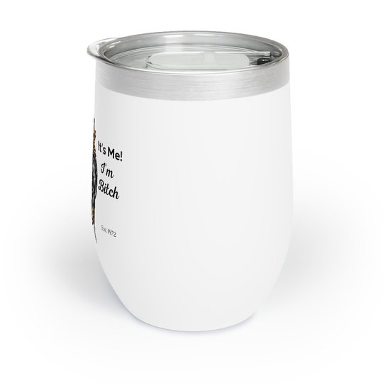 Stainless Steel, Chill Wine Tumbler, Wine Tumbler, BPA Free Lid