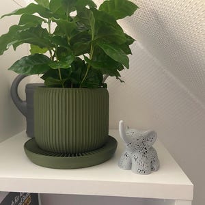 Dekoration Wohnzimmer grau