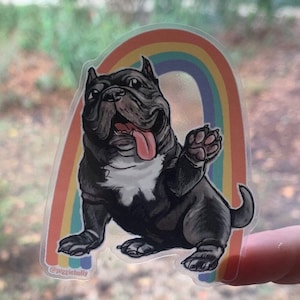 Clear Rainbow Piggie