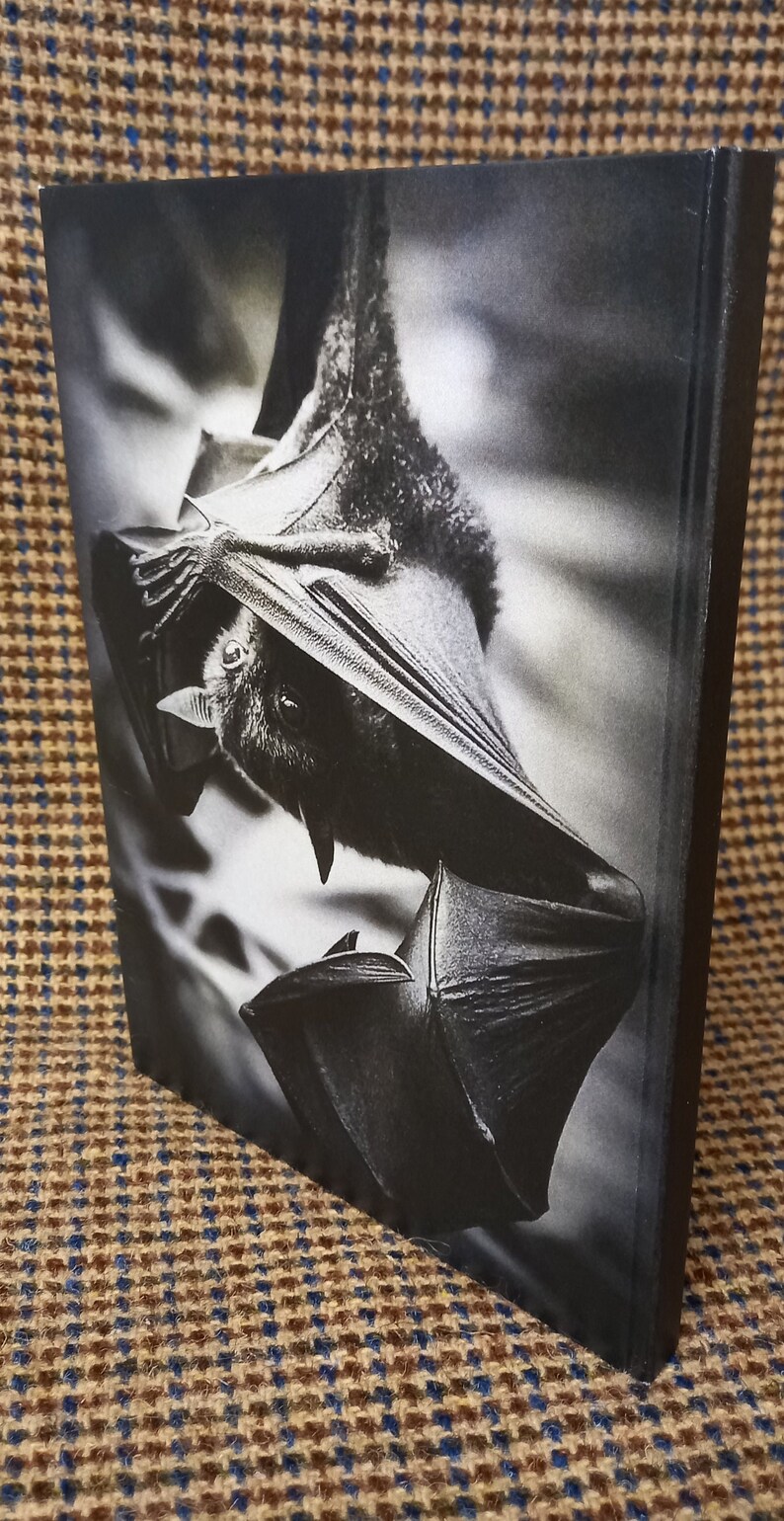 May include: A black and white photograph of a bat hanging upside down. The bat is in focus, and the background is blurred.